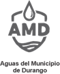 AMD AMD